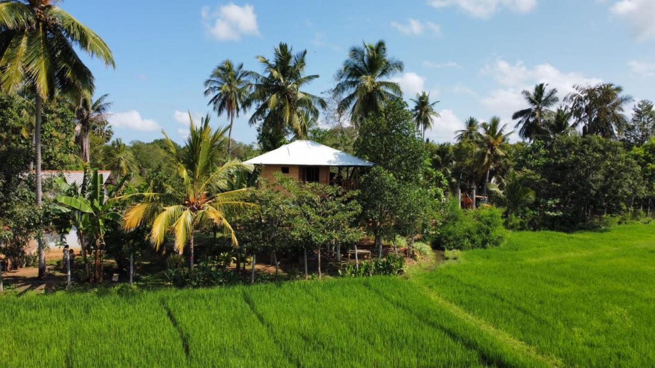 Lake Side View Cabana Tissamaharama Exterior photo